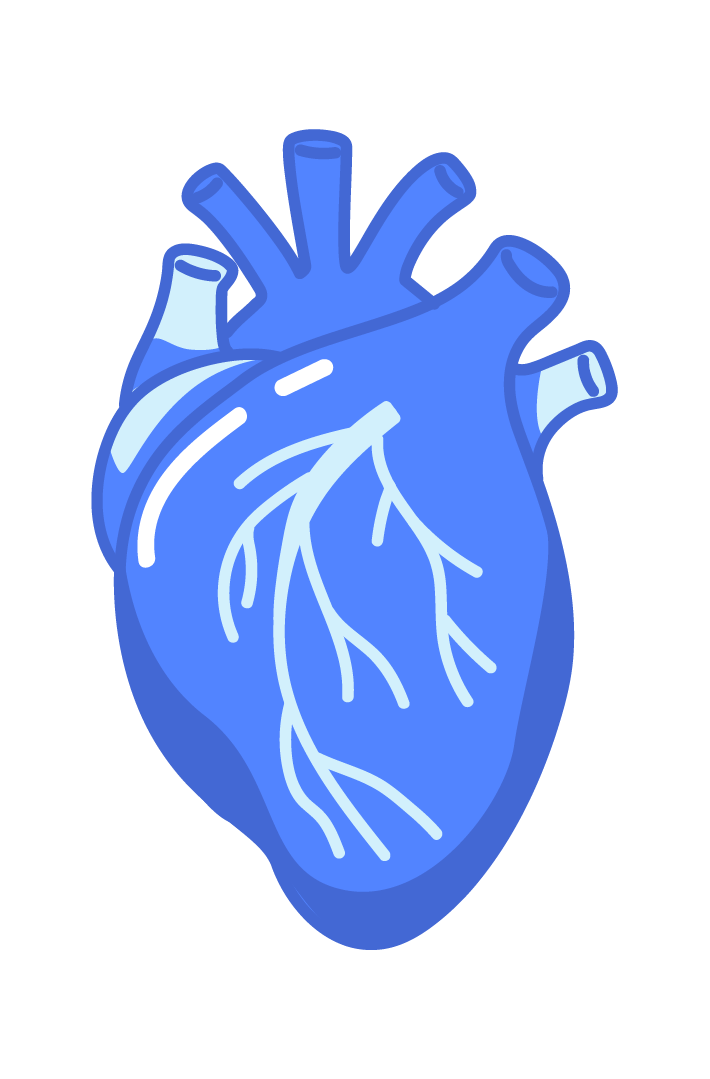 Heart Health