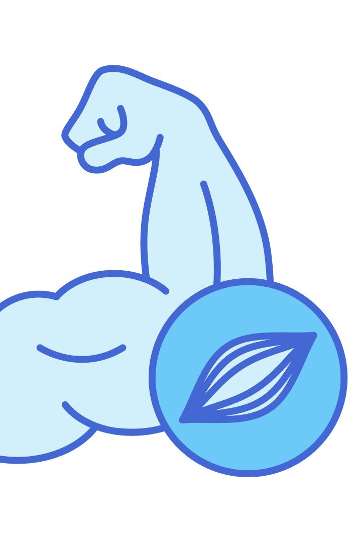 Healthy Muscle